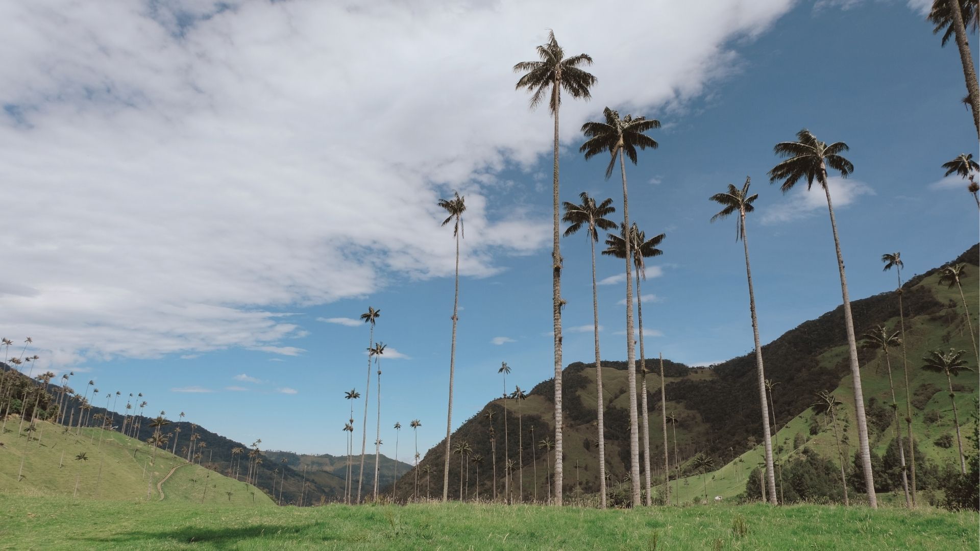 Colombia y sus estaciones - post Colombia en Tour