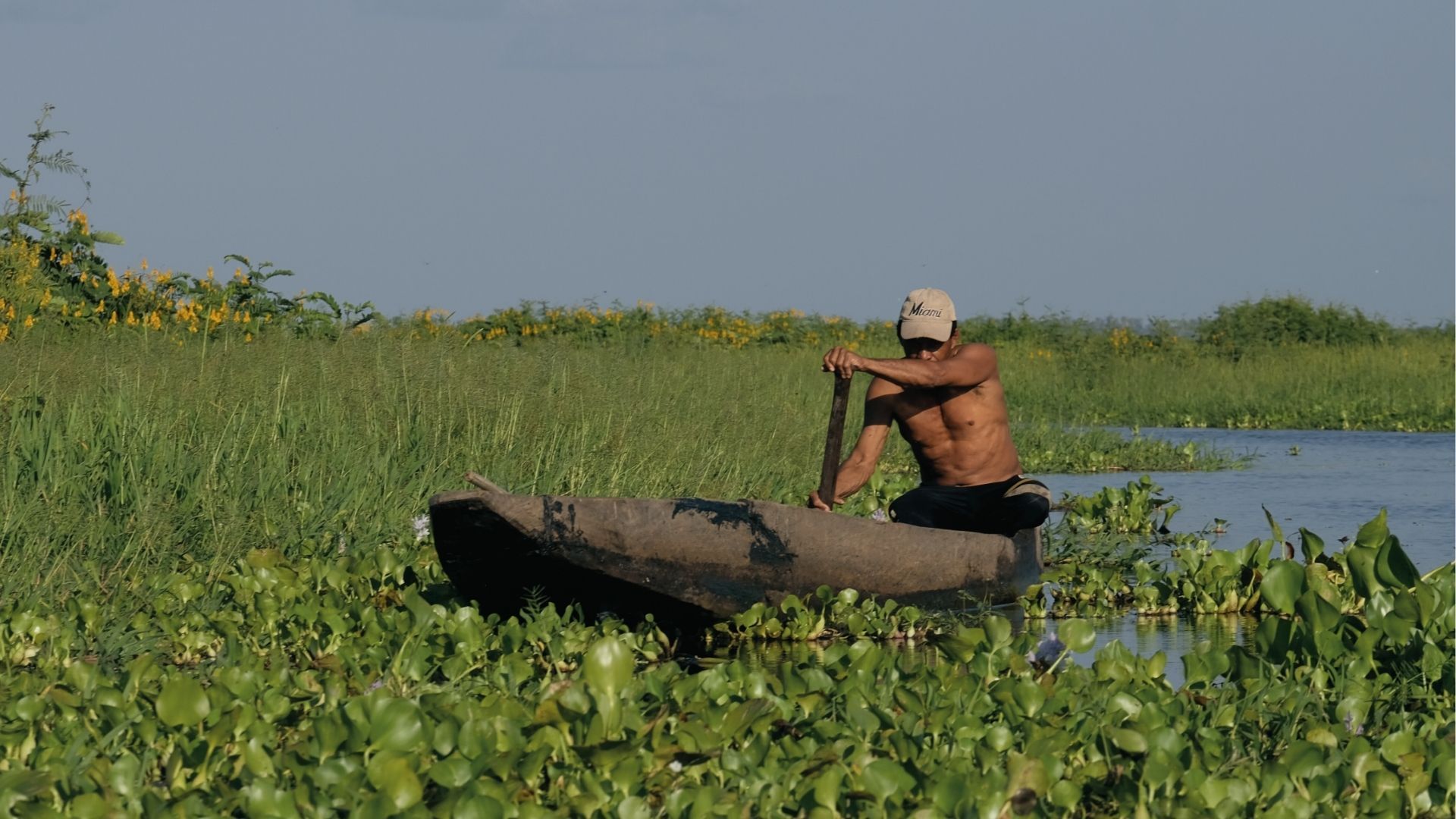 Pescador remando en la Ciénaga del Pijiño, Mompox, paisaje natural y cultural del Caribe colombiano.