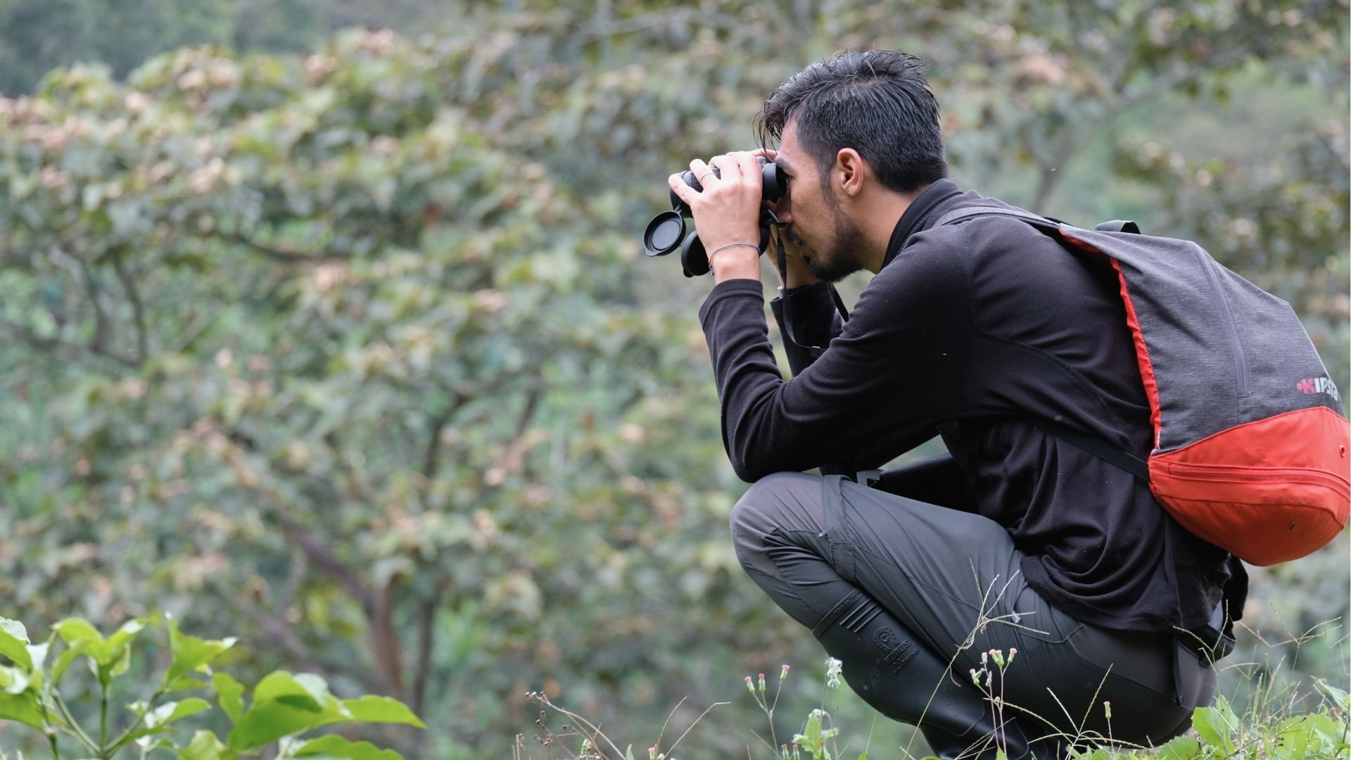 Avistamiento de Aves en Colombia – Excursión privada de lujo guiada por expertos colombo-europeos