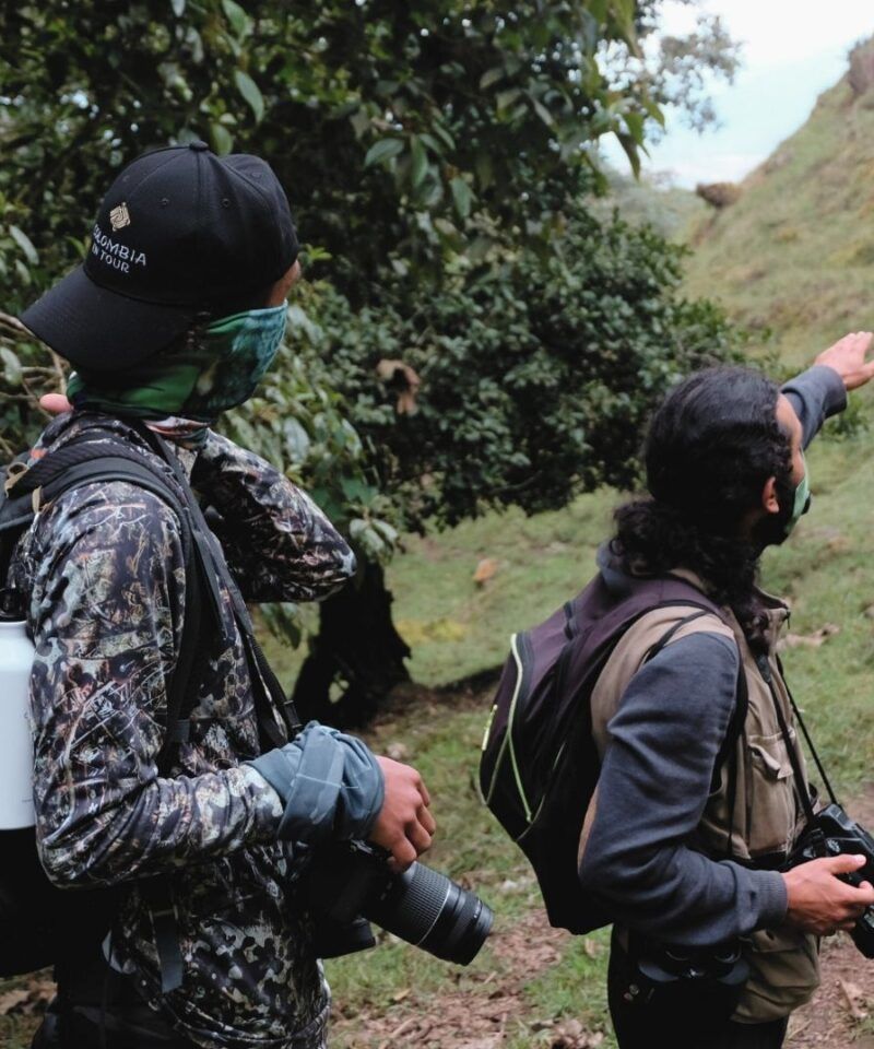 Biólogos y guías expertos en avistamiento de aves – Tours de lujo guiados por expertos en conservación y naturaleza.