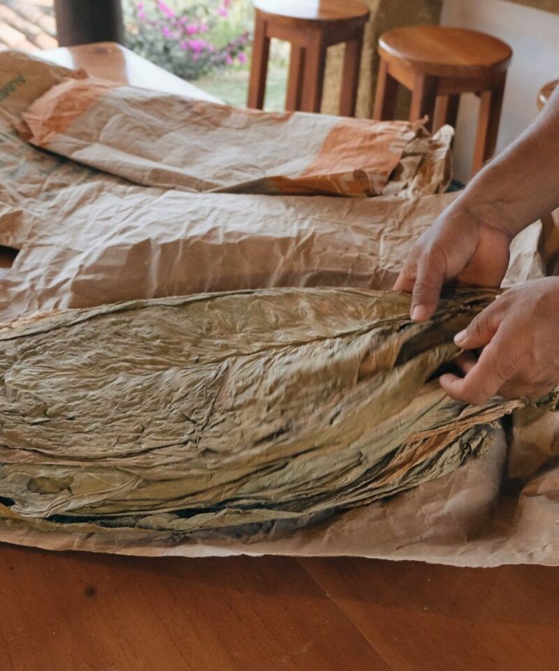 Artesano creando un puro de tabaco – Tours de tradición y experiencias artesanales en Colombia.