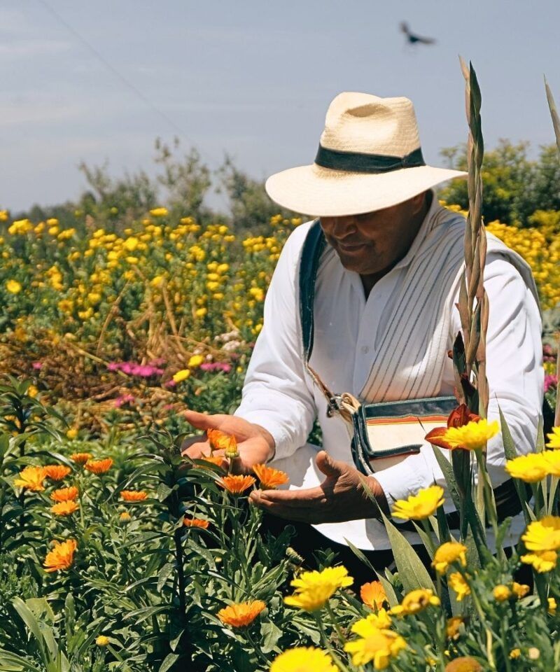Campesino silletero tradicional en finca de flores de Medellín, símbolo del patrimonio cultural y del espíritu artesanal de Antioquia – Colombia en Tour