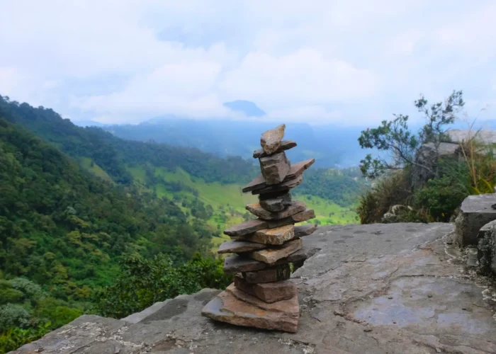 Descubre el Bosque de Niebla en el Parque Natural Chicaque