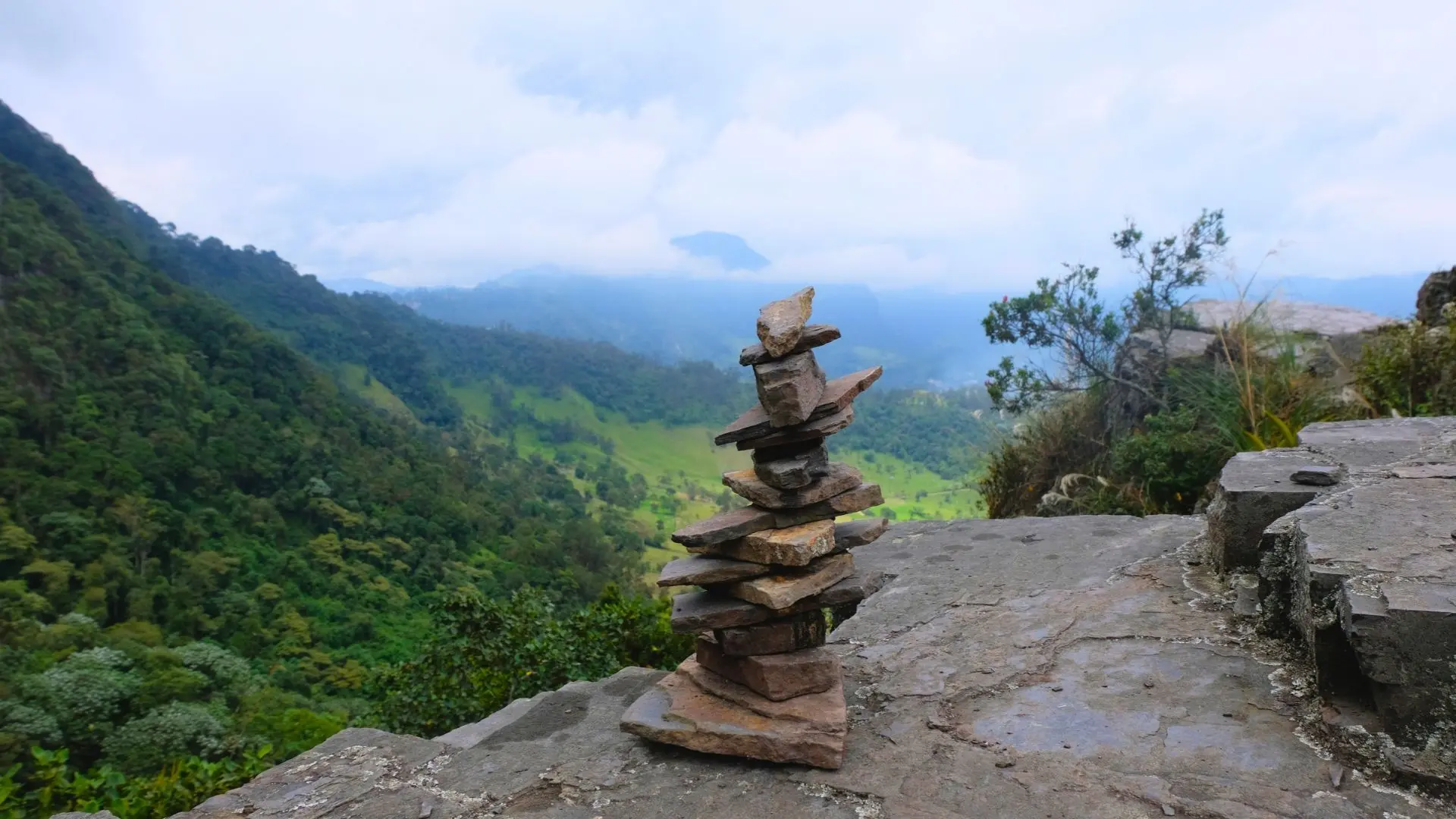 Descubre el Bosque de Niebla en el Parque Natural Chicaque